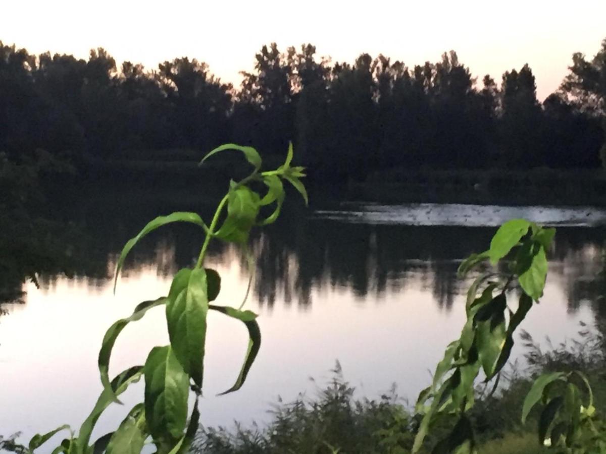 B&B Hole6 Castenaso Bagian luar foto